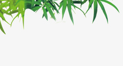 绿色清新竹叶风光装饰素材