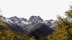 白马雪山素材