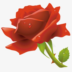 红色玫瑰花单朵绿叶素材