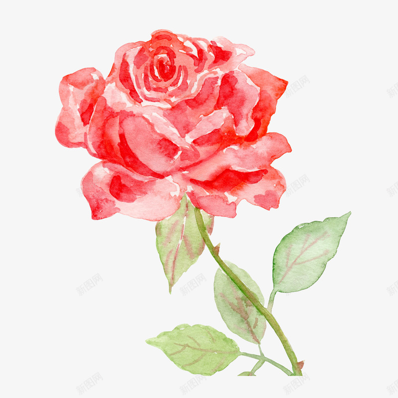 卡通手绘红色玫瑰花png免抠素材_88icon https://88icon.com 创意 动漫动画 卡通手绘 简约 红色玫瑰花 鲜花