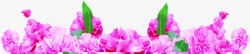 紫色卡通花朵植物母亲节素材