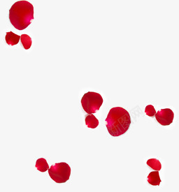 红色情人节花瓣玫瑰png免抠素材_88icon https://88icon.com 情人 玫瑰 红色 花瓣