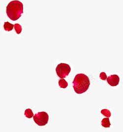 红色情人节花瓣玫瑰素材