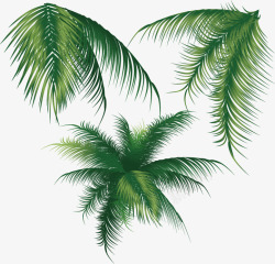 椰子树叶样式矢量图素材