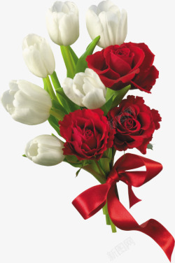 红色白色玫瑰花装饰素材