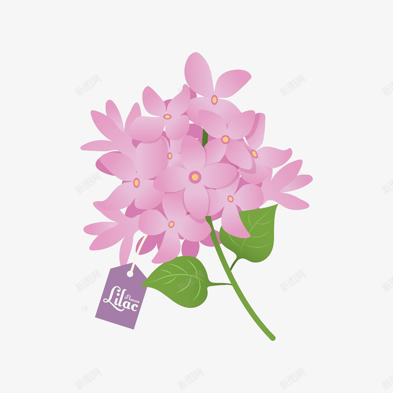 手绘浪漫时尚粉丁香花簇png免抠素材_88icon https://88icon.com 丁香 丁香花 吊牌 唯美 手绘 手绘丁香 时尚 粉丁香 花簇 设计