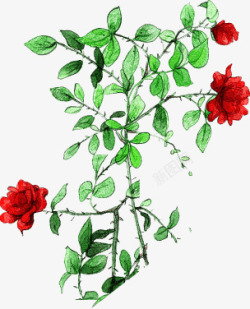手绘绿叶红色玫瑰素材