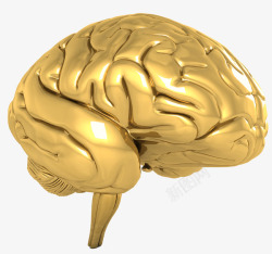 金黄色质感大脑效果素材