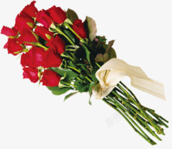 情人节的礼物红色玫瑰花素材