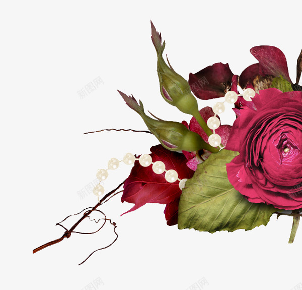 红玫瑰和珍珠装饰图案png免抠素材_88icon https://88icon.com 玫瑰 珍珠 红玫瑰 花朵