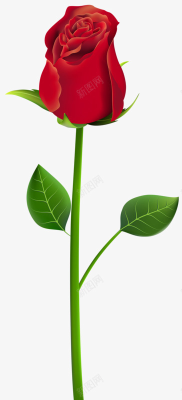卡通手绘红色玫瑰花png免抠素材_88icon https://88icon.com 卡通红色 情人节装扮 玫瑰花 红色