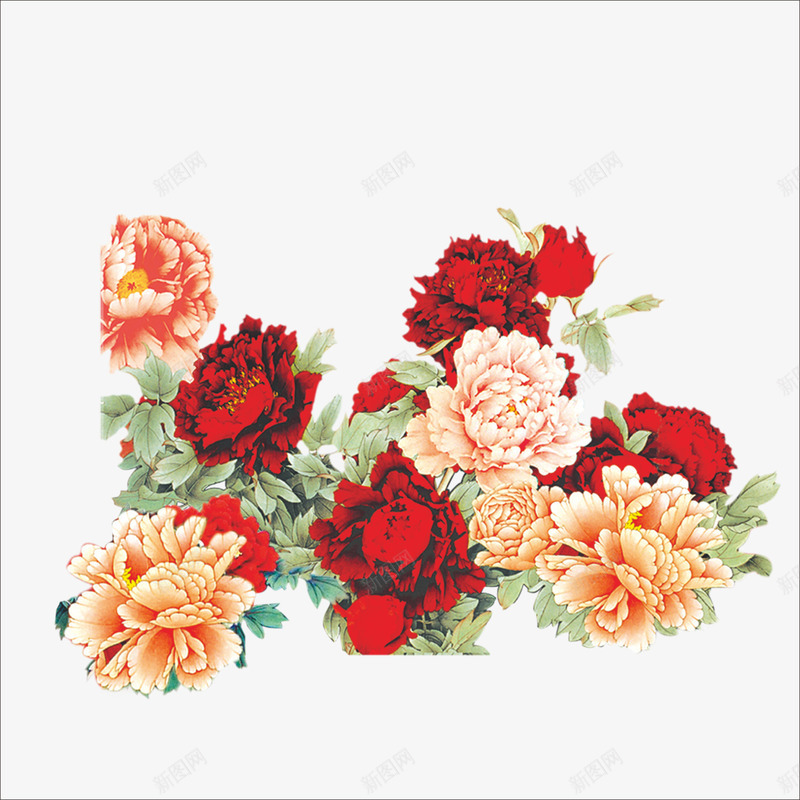 红玫瑰png免抠素材_88icon https://88icon.com 漂亮红色的花 玫瑰花