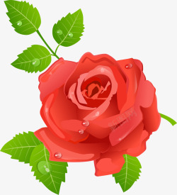红色玫瑰花图案矢量图素材