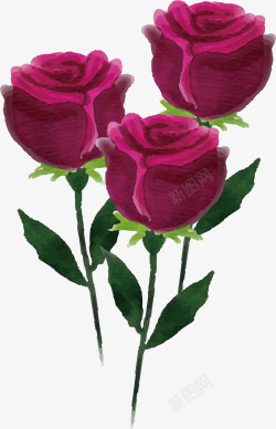 水彩手绘浪漫红玫瑰矢量图素材