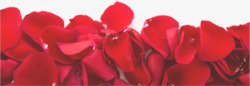红色鲜花玫瑰花瓣情人节素材
