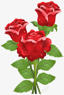 三朵玫瑰红色鲜花素材
