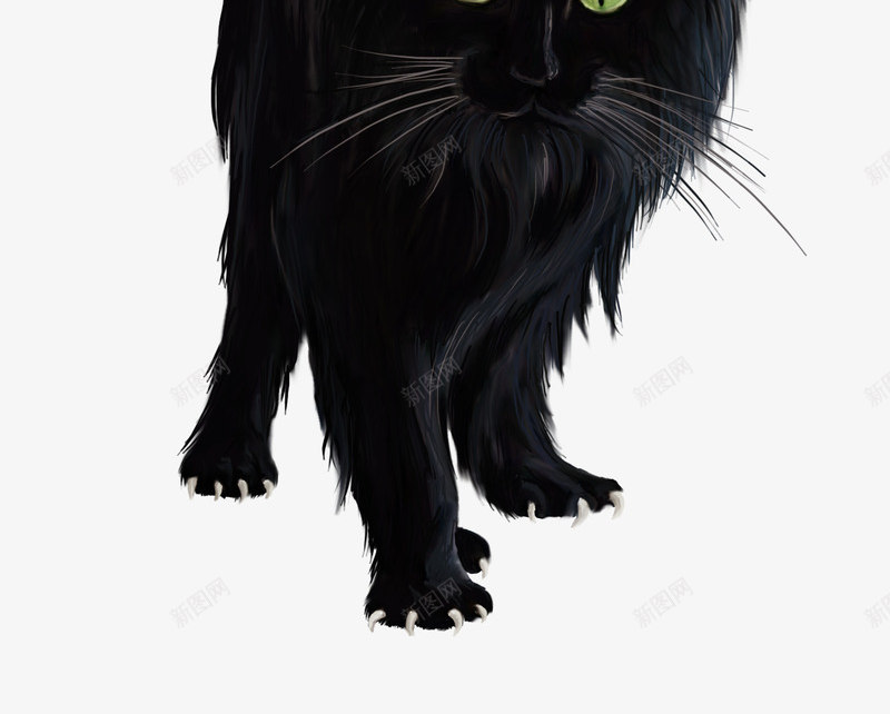 黑猫png免抠素材_88icon https://88icon.com HALLOWEEN 万圣节 恐怖 惊吓 炸毛黑猫 鬼节 黑猫