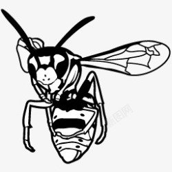 黑色蜜蜂剪影黑白画素材