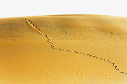 著名撒哈拉沙漠景点素材