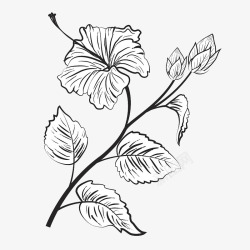 单线插图手绘插图树枝叶花朵高清图片