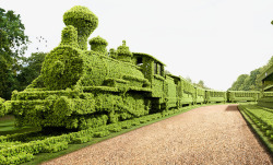 火车绿色叶子火车透明火车素材