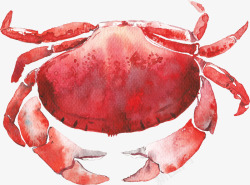手绘美味红色小螃蟹素材