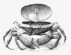 素描螃蟹螃蟹上的舞蹈者素描插画高清图片