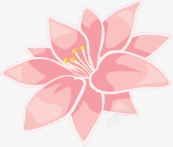 粉色绽放花朵手绘素材