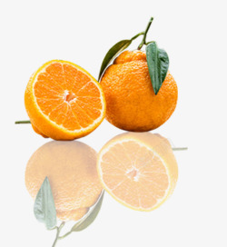 唯美精美水果橘子橙子倒影素材