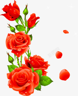 手绘红色婚礼花朵玫瑰素材