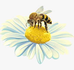 卡通手绘蜜蜂花朵采蜜素材