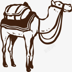 沙漠中的骆驼素材
