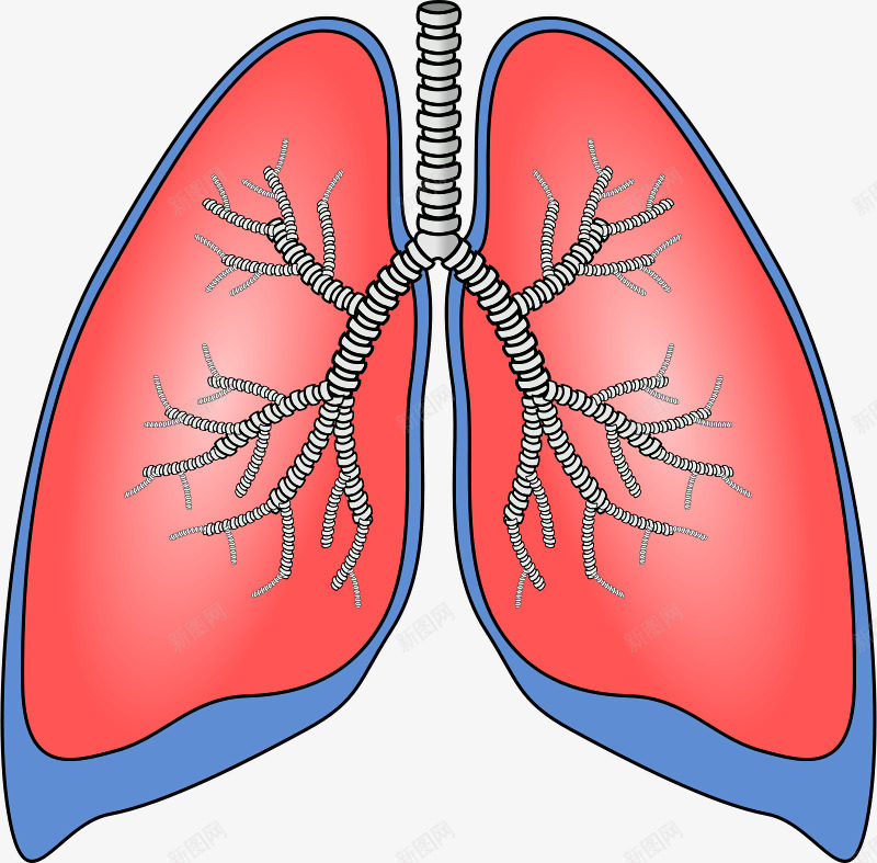 禁烟日公益广告肺部与香烟png免抠素材_88icon https://88icon.com nosmoking 不抽烟 公益广告 禁止吸烟 禁烟日 肺部 香烟