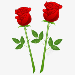 红玫瑰七夕情人节素材