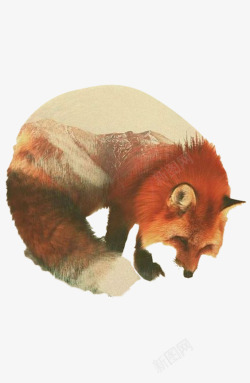 狐狸动物插画创意素材