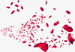 红色玫瑰花瓣宣传主页素材