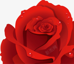 红色手绘珠光玫瑰七夕情人节素材