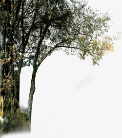 绿色树枝样式海景房素材