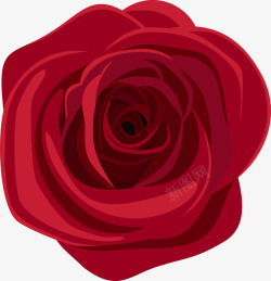 唯美红色玫瑰花素材