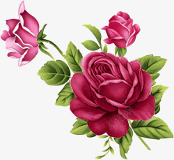 手绘情人节浪漫红色玫瑰素材