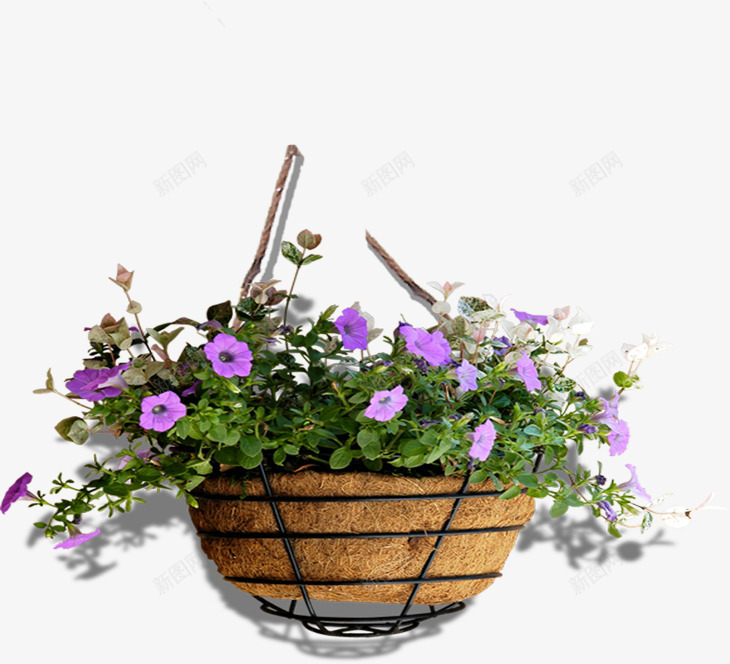 紫色花朵室内装饰png免抠素材_88icon https://88icon.com 室内 紫色 花朵 装饰