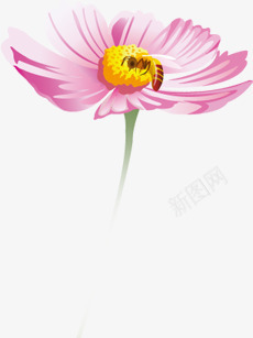 手绘粉色蜜蜂采蜜花朵植物png免抠素材_88icon https://88icon.com 植物 粉色 花朵 蜜蜂