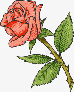 娇艳的红玫瑰矢量图素材