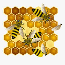 装饰图案蜜蜂窝蜜蜂素材