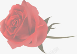 玫瑰红色海报背景七夕素材