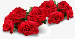 红色浪漫玫瑰花花朵素材