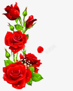 大红色玫瑰花朵元素素材