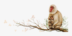 坐在树枝上的猴子母子素材