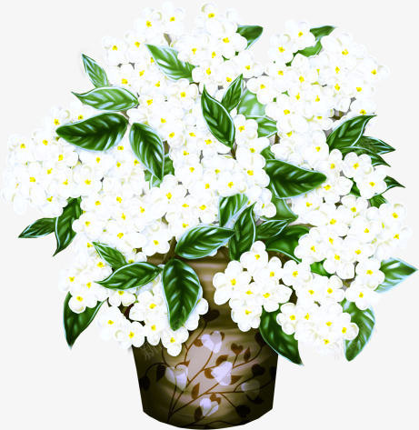 花盆里面的白色鲜花png免抠素材_88icon https://88icon.com 花朵 花盆 花蕊 鲜花
