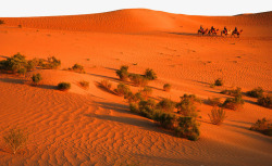腾格里沙漠景点素材